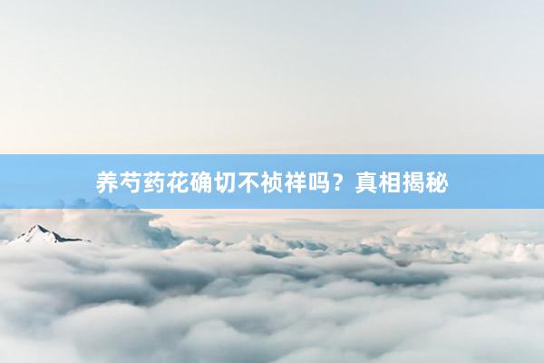 养芍药花确切不祯祥吗？真相揭秘